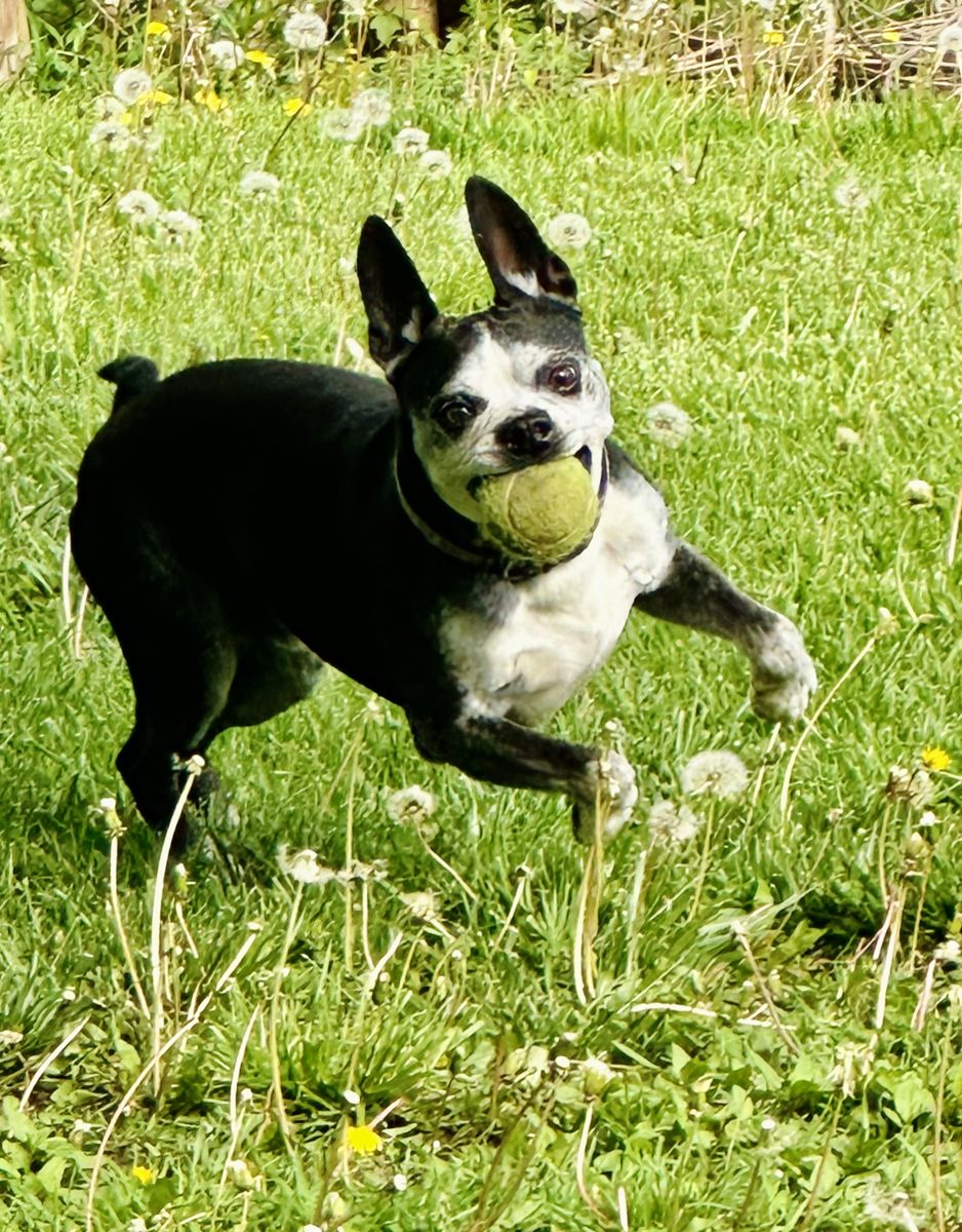 Photo 1b6972f7 - Captured with iPhone 14 Pro Max